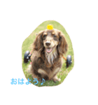 LEO＆NANA stamp 2（個別スタンプ：1）