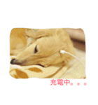 LEO＆NANA stamp 2（個別スタンプ：6）