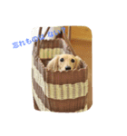 LEO＆NANA stamp 2（個別スタンプ：8）