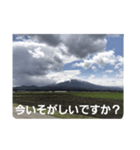 山の写真 日常会話（個別スタンプ：4）