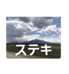 山の写真 日常会話（個別スタンプ：12）