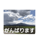 山の写真 日常会話（個別スタンプ：14）