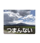 山の写真 日常会話（個別スタンプ：21）