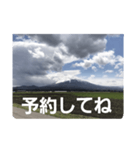 山の写真 日常会話（個別スタンプ：29）