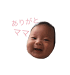 そうちゃんと仲間たち（個別スタンプ：24）