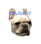 フレブル小太郎②（個別スタンプ：4）