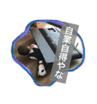 ひろくん（個別スタンプ：8）