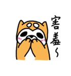 Noga the Shiba Inu~（個別スタンプ：21）
