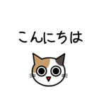 敬語猫（個別スタンプ：3）