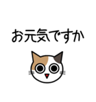 敬語猫（個別スタンプ：5）