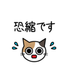 敬語猫（個別スタンプ：6）