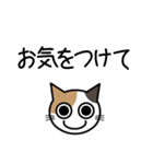 敬語猫（個別スタンプ：18）