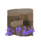 りんスタンプ第2弾（個別スタンプ：16）
