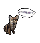 Chai dog SUN（個別スタンプ：14）