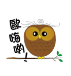 owl's life（個別スタンプ：4）