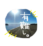 生活感3（個別スタンプ：24）