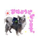 ルイスタンプ（個別スタンプ：4）