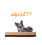 ルイスタンプ（個別スタンプ：10）