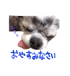 ルイスタンプ（個別スタンプ：11）