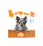 ルイスタンプ（個別スタンプ：15）