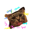 猫大好きスタンプ（個別スタンプ：4）