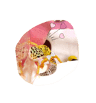 我が家のアイドル（個別スタンプ：7）