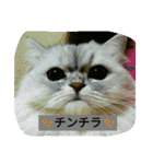 mikastyle（個別スタンプ：24）
