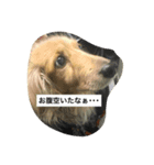 ろんろんろみお（個別スタンプ：2）