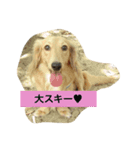 ろんろんろみお（個別スタンプ：3）