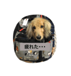 ろんろんろみお（個別スタンプ：4）