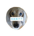 ろんろんろみお（個別スタンプ：6）
