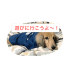 ろんろんろみお（個別スタンプ：7）