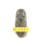 ろんろんろみお（個別スタンプ：8）