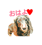 うちのダックス（個別スタンプ：1）