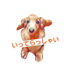 うちのダックス（個別スタンプ：10）