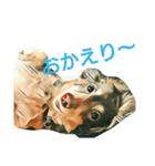 うちのダックス（個別スタンプ：14）