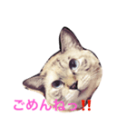 ふーちゃんとぺーたろーのご挨拶（個別スタンプ：6）