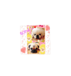 ぺちゃ族ばんざい  なかよし家族（個別スタンプ：32）