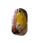 ねこねこてんじーん（個別スタンプ：11）