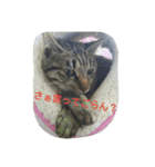 ねこねこてんじーん（個別スタンプ：20）