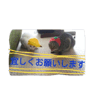 ねこねこてんじーん（個別スタンプ：24）