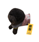 仲良しジジとモコ（個別スタンプ：3）