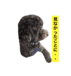 仲良しジジとモコ（個別スタンプ：4）