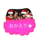 いいじま家孫ズ（個別スタンプ：25）