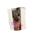 セブンといっしょ②（個別スタンプ：1）