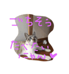 セブンといっしょ②（個別スタンプ：3）