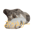 セブンといっしょ②（個別スタンプ：12）
