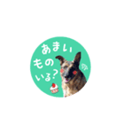 くるこなしょう（個別スタンプ：7）