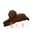 レインくん(夏ver)（個別スタンプ：1）