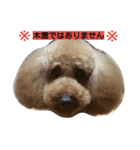 レインくん(夏ver)（個別スタンプ：4）
